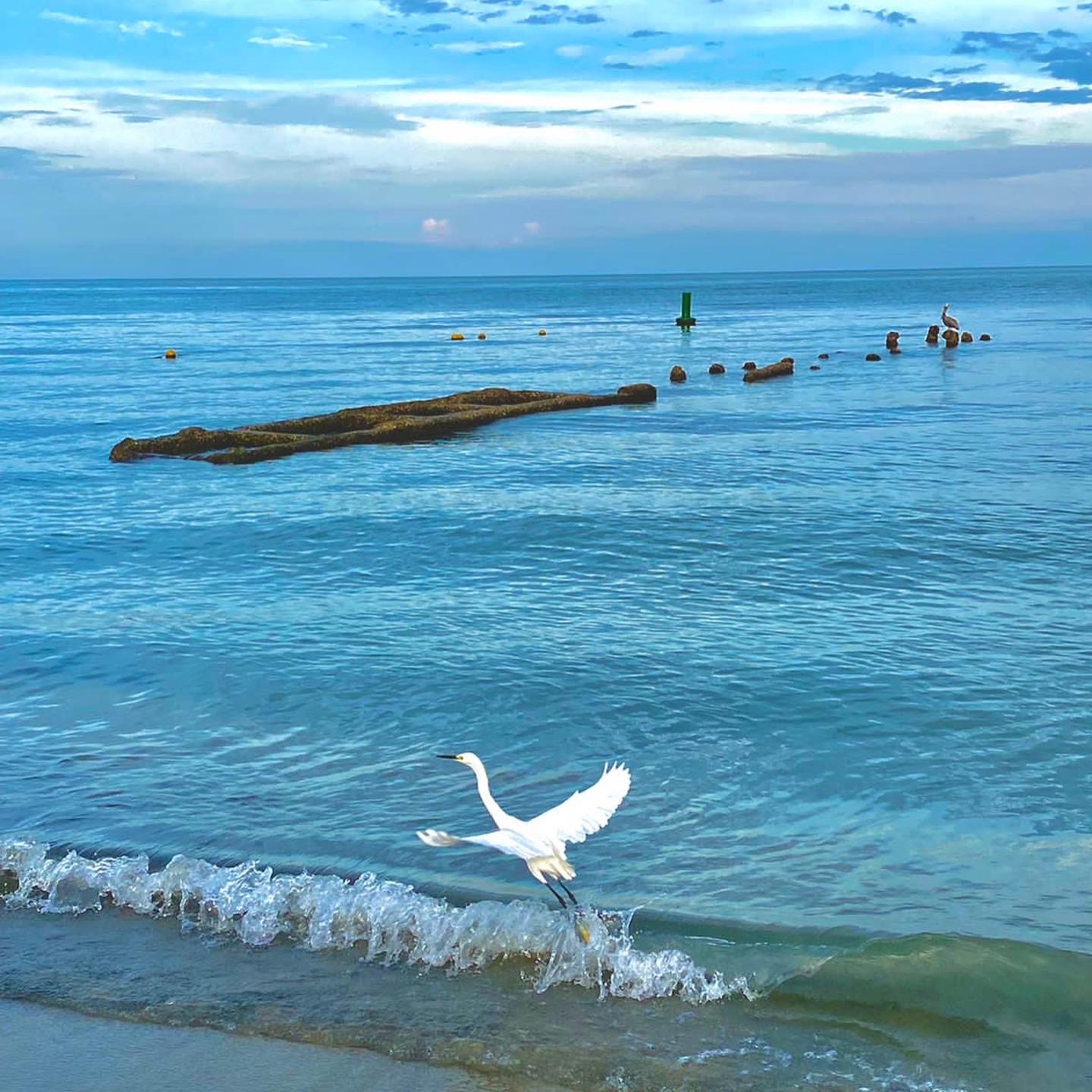 8BE78DE9-39F4-4486-A324-AFB341A5BD77 (1)