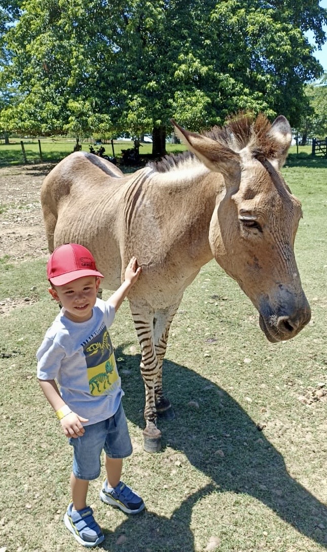 ab3fdffa-6a33-4a24-9b99-5f571a3f7d5c