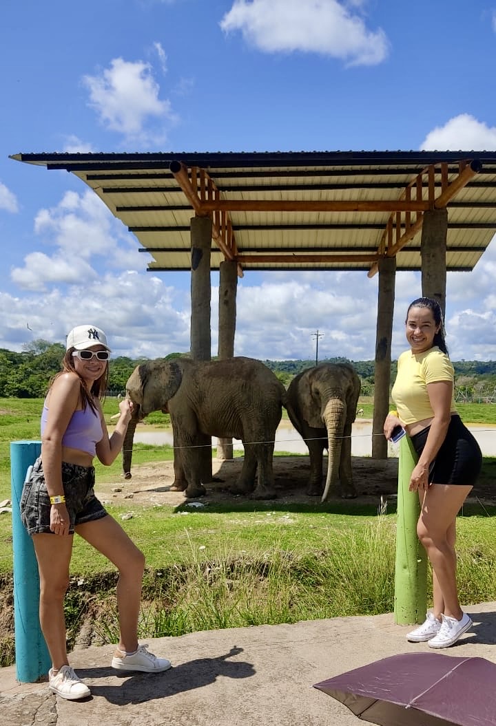 c4f24e5e-1e2f-4ccb-a181-e32699dabff8