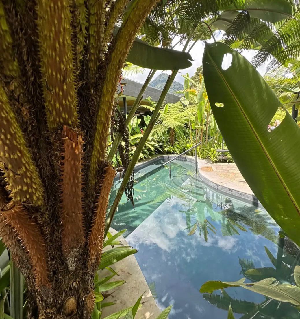 WhatsApp Image 2026-02-09 at 19.02.39