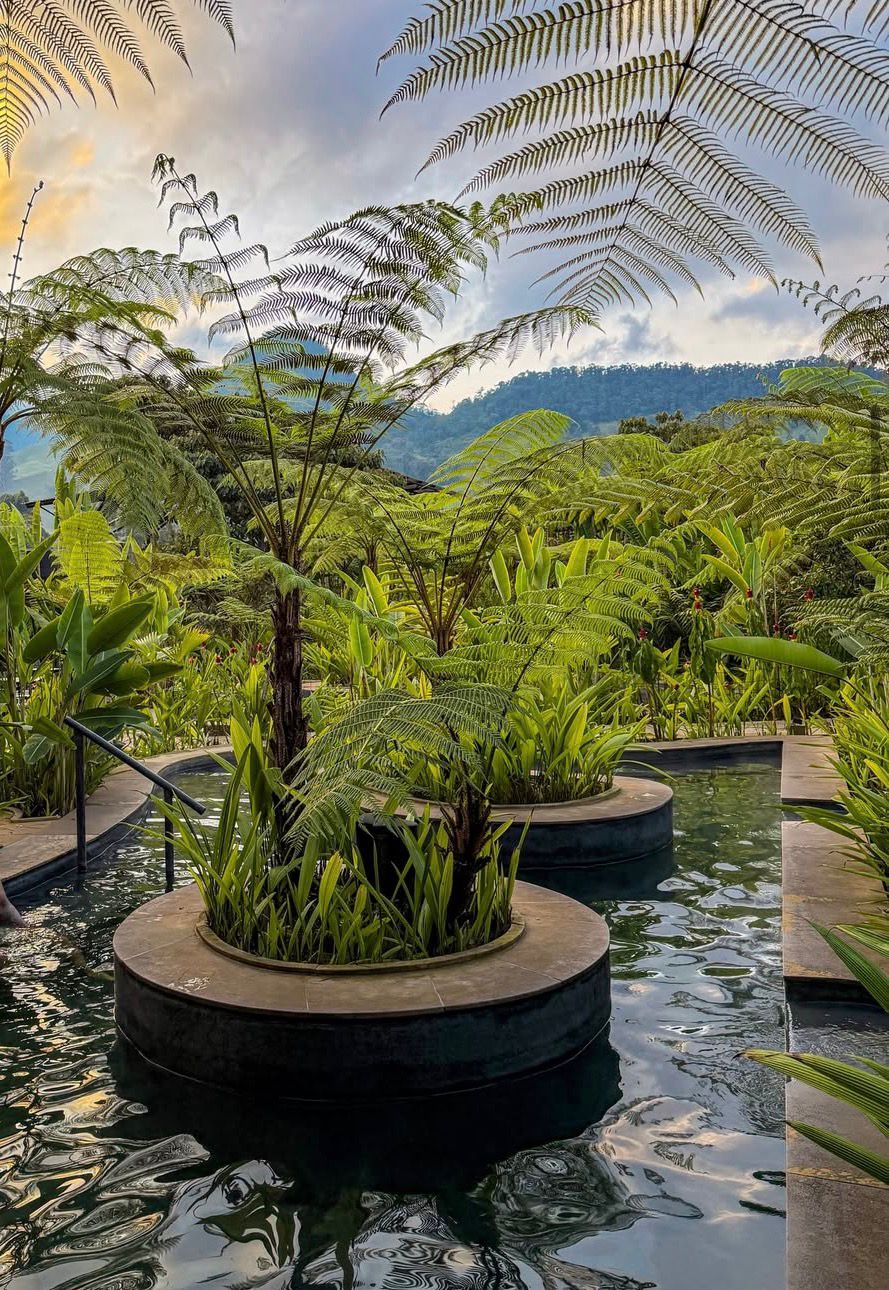 WhatsApp Image 2026-02-09 at 19.02.44